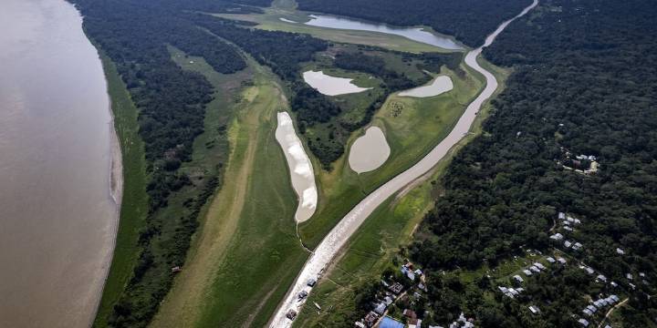 El ritual que terminó siendo una mafia: cayó red que traficaba veneno de rana amazónica desde la selva hasta Europa