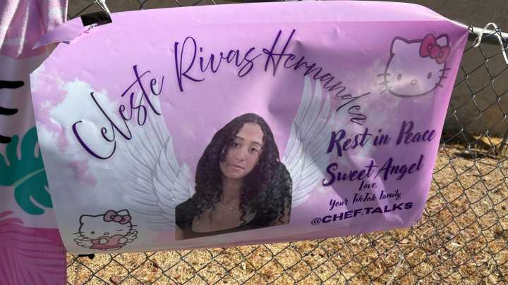 Body Found in D4vd’s Tesla: Teen Refrigerated, Cause of Death Unknown