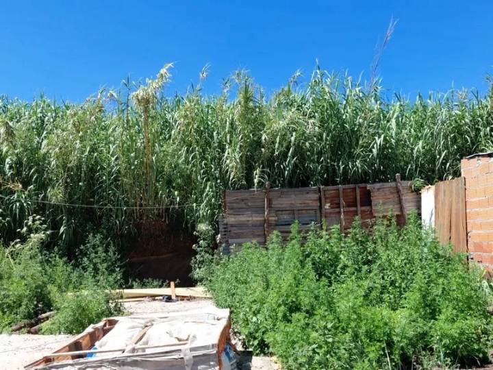 Cieri reclamó ayuda y más seguridad para el barrio La Celeste