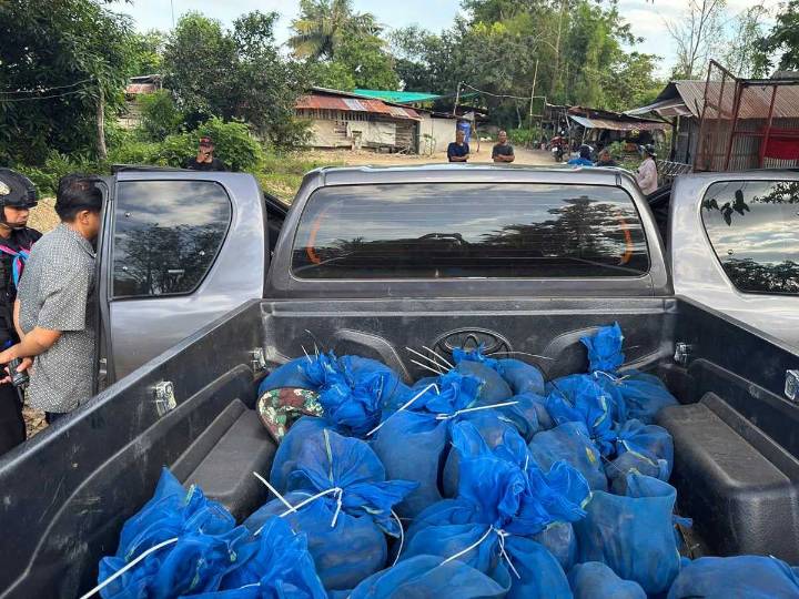 Tailandia arresta a dos hombres con 81 macacos en la frontera con Camboya