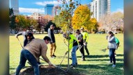 Denver meets tree planting goal for 2025