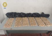 Aseguran 360 huevos de tortura en estación Chabacano del Metro CDMX