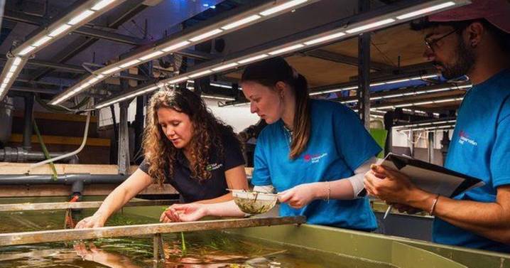 Plymouth is saving the planet with bold ambition