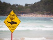 Australia shark attack kills woman, seriously wounds man