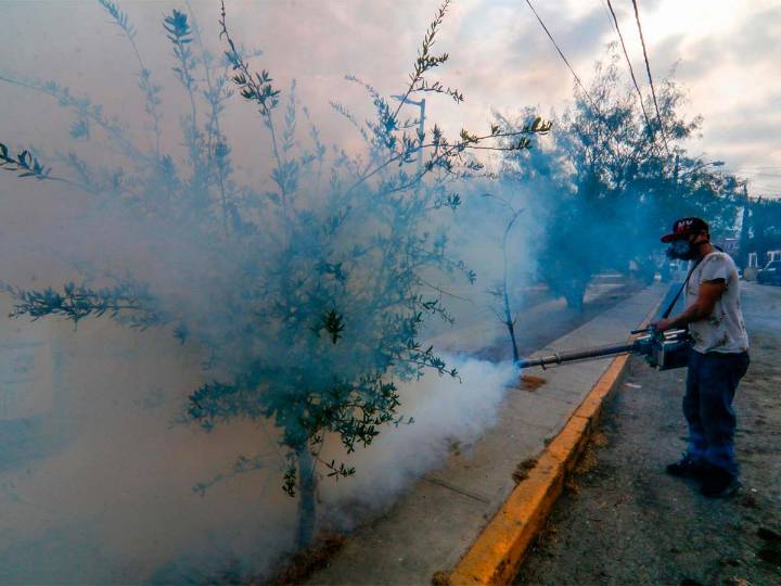 Confirman 992 nuevos casos de dengue en una semana