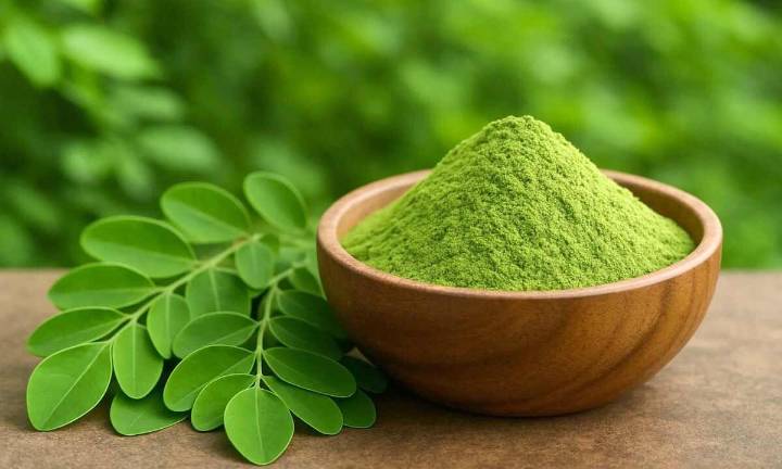 Moringa: The Superfood Revolutionising Health Naturally