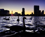 Orlando voters in 3 districts hit the polls Tuesday