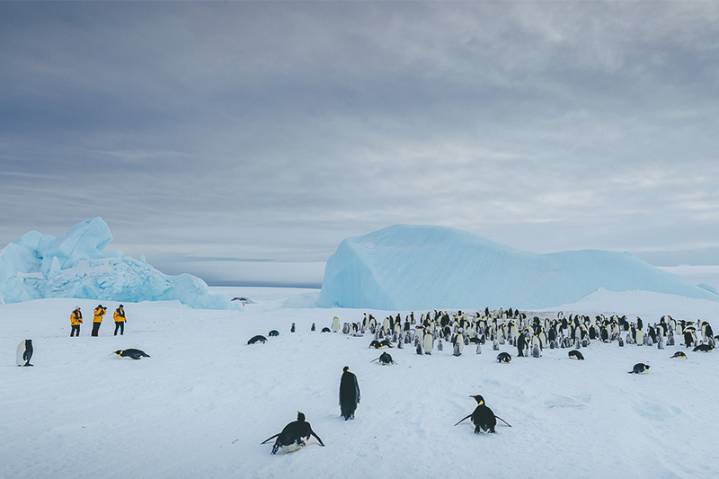 Quark Achieves Helicopter Access to Emperor Penguin Colony