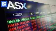 ASX falls 2 per cent as CBA boss says 'unlikely' interest rates will move in 2026