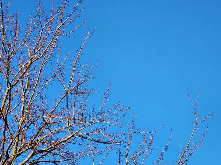 NJ weather: Weekend starts cool, rain showers on the way