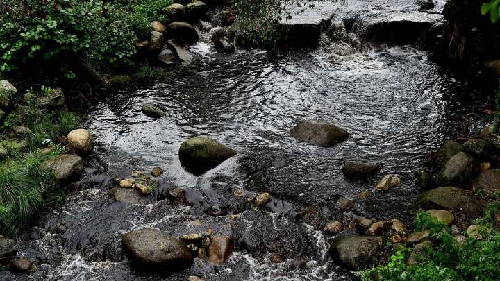 Las lluvias arrastran las cenizas del incendio de Jarilla y contaminan los ríos del norte de Cáceres: "El agua baja negra"
