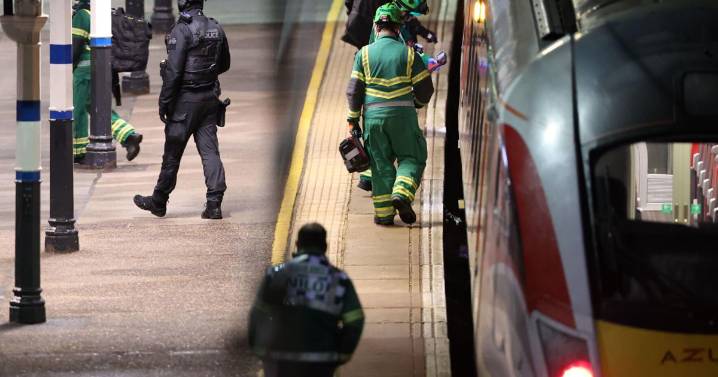 UK police say 10 people hospitalized after train stabbing attack, 9 with life