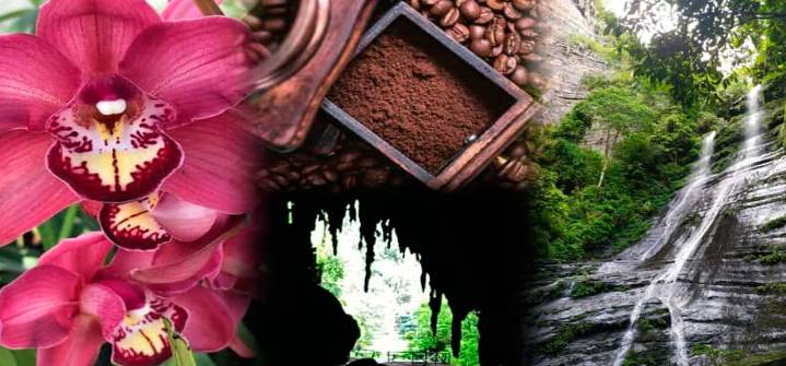 La Expo Flor y Café 2025 impulsará el turismo de aventura y potenciará la economía en Acosta y Caripe