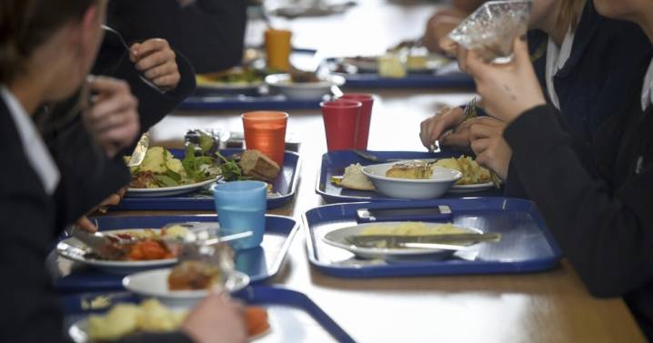 Colorado votes to raise taxes to pay for all public students' school meals