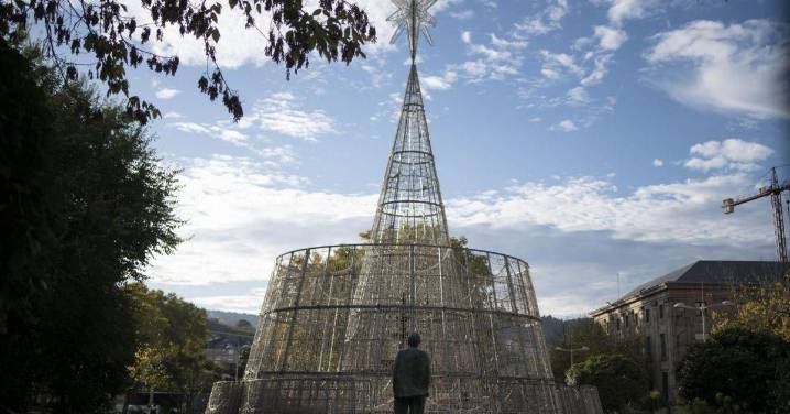El árbol gigante de Bispo Cesáreo en Ourense llega a Fiscalía