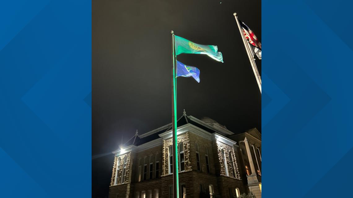 Niagara and Erie counties participating in 'Operation Green Light'