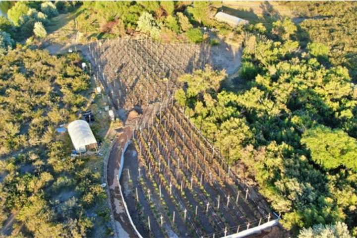 Desbaratan red narco en Río Negro: 13 allanamientos, 11 detenidos y un dron atacado a escopetazos