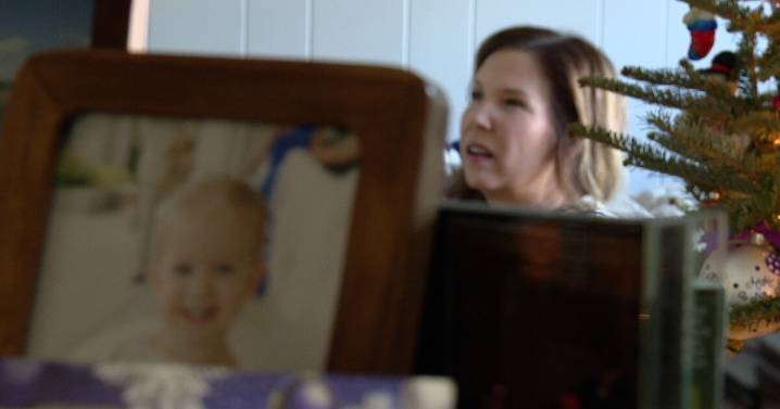 A place at the table: Thanksgiving with the Terradots