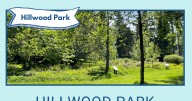 Green Shoreline Planting Event at Hillwood Park on Friday November 14, 2025