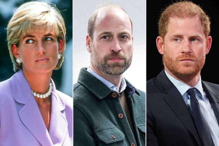 Princess Diana Revealed Private ‘Regret’ About Prince William and Prince Harry Before Her Death (Exclusive)