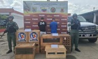 Detienen a dos traficantes de fauna silvestre en Ciudad Bolívar