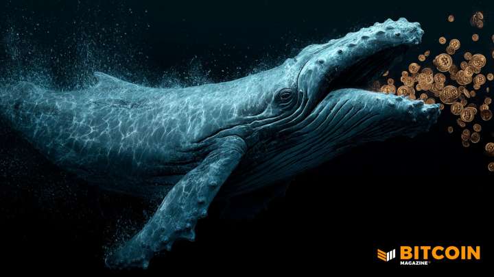 VanEck: Mid-Cycle Traders Driving Bitcoin Selloff While Long