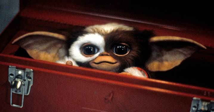 'Gremlins 3' is real: Steven Spielberg, Chris Columbus reuniting for 2027 Mogwai movie