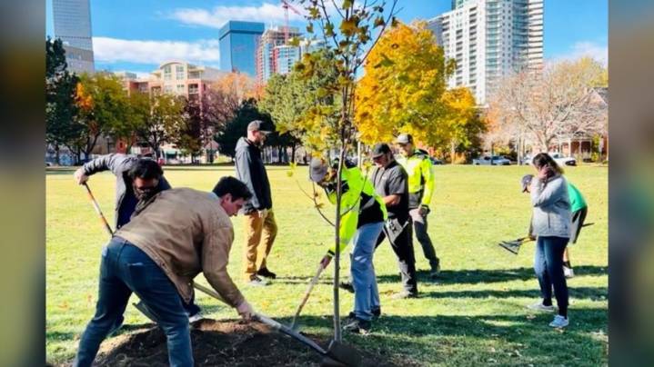 Denver meets tree planting goal for 2025