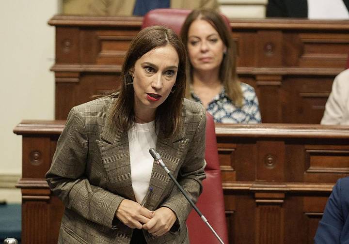 Torres, la UCO y Tito Berni: el pleno canario se contagia del ruido de Madrid