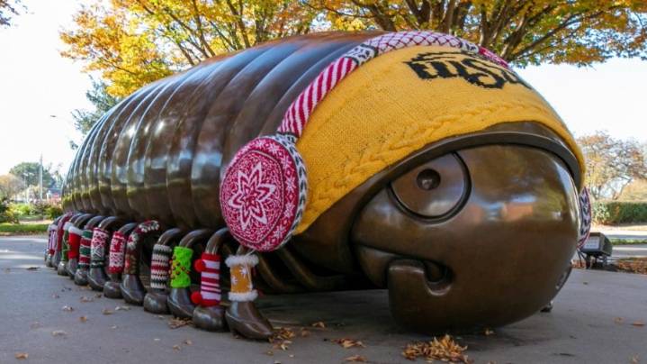 Wichita State's Millie the Millipede dressed warmly for winter
