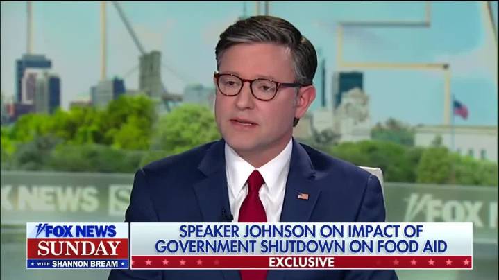 Mike Johnson: 'Don't Get Lost In The Facts' Of The Government Shutdown
