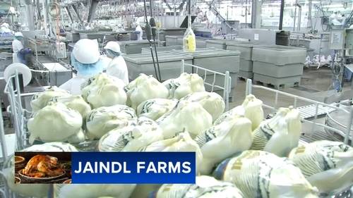 Jaindl Turkey Farm Prepares for Thanksgiving