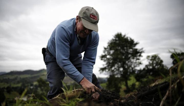 SAC presenta hoja de ruta para el agro 2026–2030, '43 caminos para cumplirle al campo'