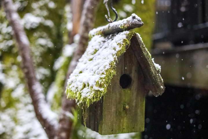 Thousands of Oregonians may be without heat as government shutdown continues