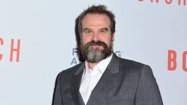 El testimonio de Alison Sudol, expareja de David Harbour, que vuelve a poner al actor en el foco de la polémica por presunto abuso