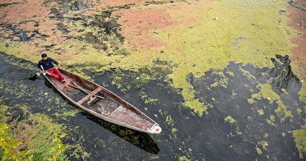 Heavy rainfall helps microplastics enter India’s urban lakes