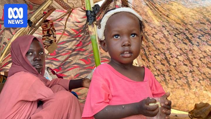 WHO confirms militia attack on hospital that killed 460 people in Sudan's Darfur region