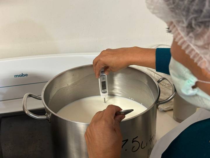 Impulsa Gobierno del Estado capacitación en elaboración de productos lácteos en El Granjero