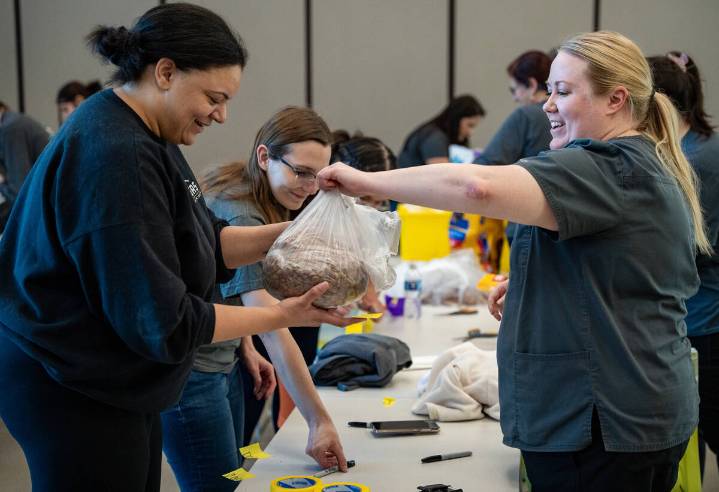 Animal Foundation holds pet food pantry amid SNAP cuts, government shutdown