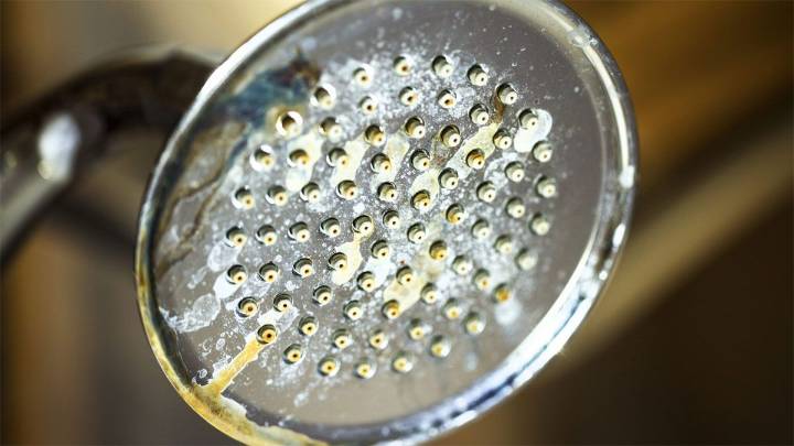 Cómo limpiar el sarro de la flor de la ducha y ganar más presión de agua