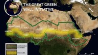 Gran Muralla Verde de África: estos son los resultados de un proyecto gigantesco