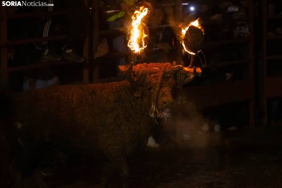 Medinaceli vuelve a ''ser feliz'' con el Toro Jubilo