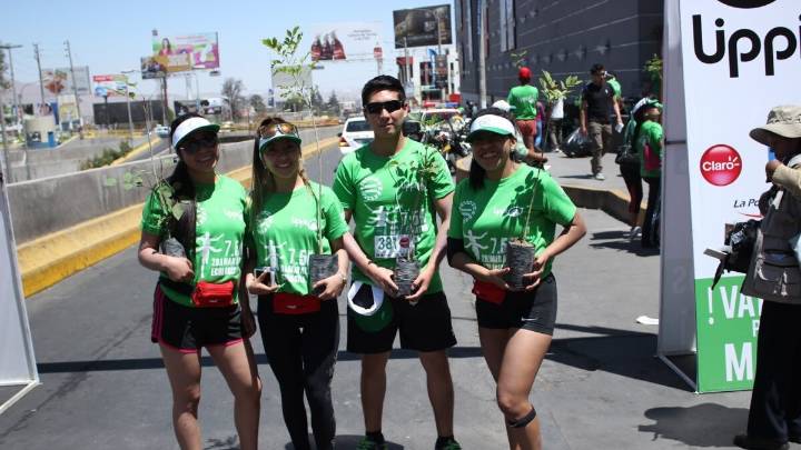 Maratón Ecológica buscará costear la reforestación de 8 a 10 mil árboles en la variante de Uchumayo