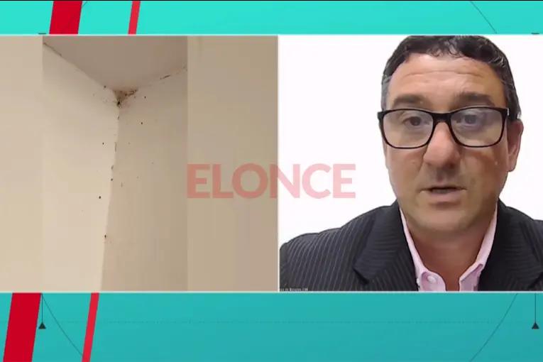 Invasión de garrapatas: fumigarán dos escuelas de María Grande