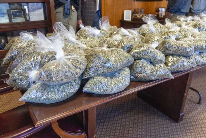 Nearly 100 pounds of marijuana found in trash bags after citizen complaint of weed odor