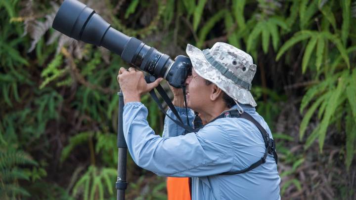 El municipi tolimense que en el pasado se llamó Soledad, un destino imperdible para el avistamiento de aves