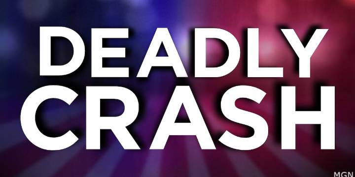 One dead in crash near 185 NB in Troup County