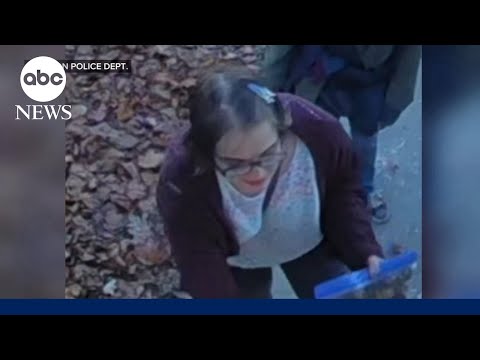 'Slender Man' stabbing assailant Morgan Geyser flees group home: Police