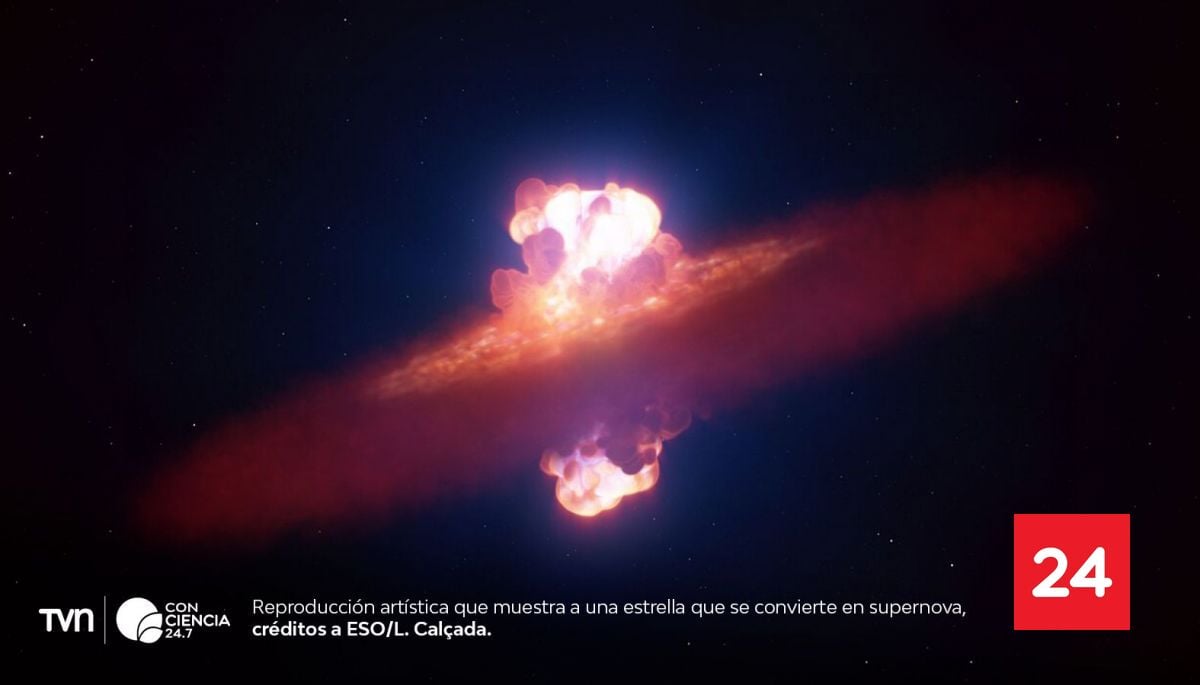 Revelan la forma de una supernova un día después de su detección