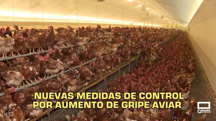 Noticias del día en Castilla-La Mancha: 6 de noviembre